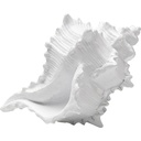 Deco Object Conch 19cm